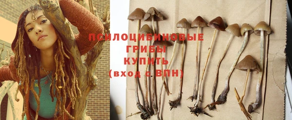 дмт Абинск