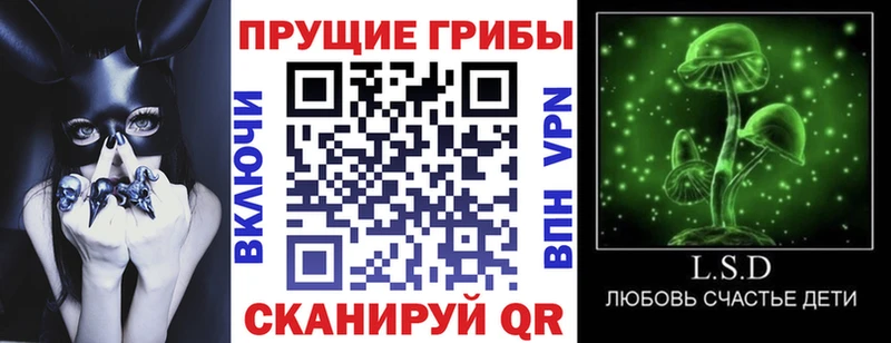 наркотики Алексин Псилоцибиновые грибы ЛСД
